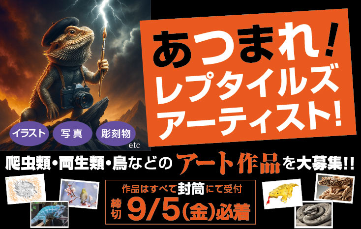 あつまれ!レプタイルズアーティストバナー