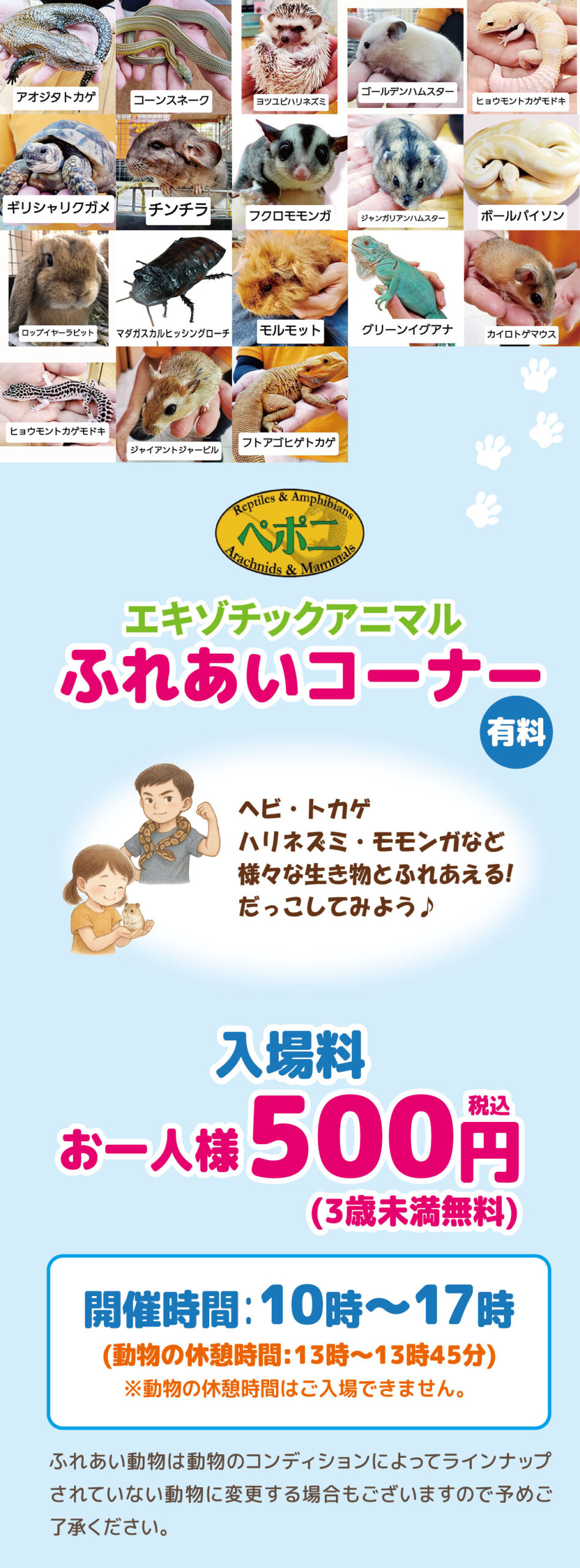 エキゾチックアニマルふれあいコーナー