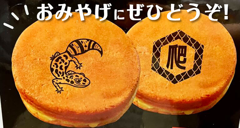 レプタイルズまんじゅう