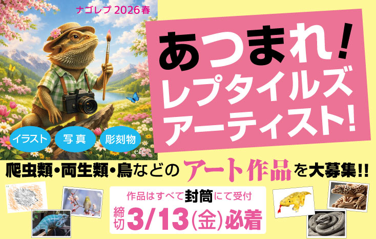 あつまれ!レプタイルズアーティストバナー