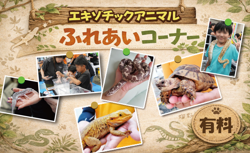 エキゾチックアニマルふれあいコーナー