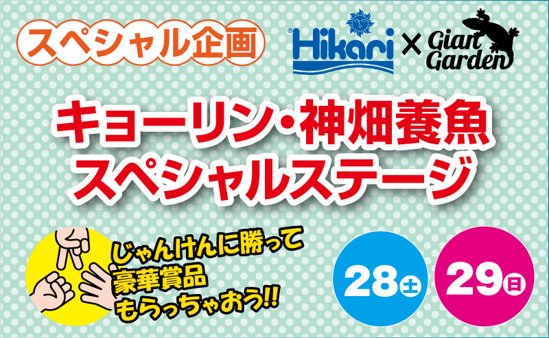 スペシャルステージ