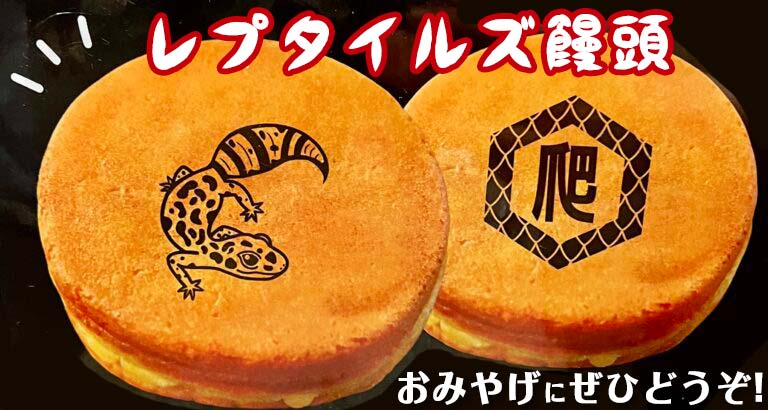 レプタイルズ饅頭