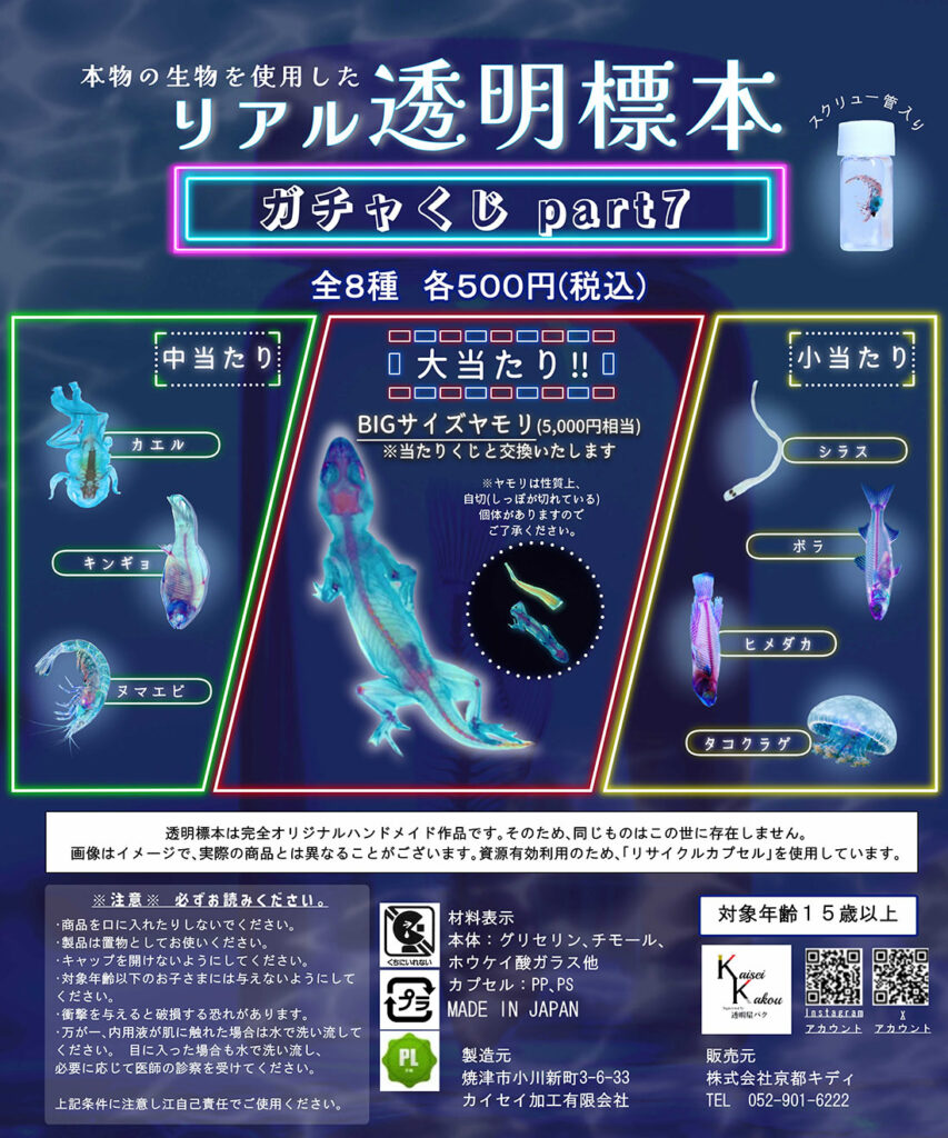 リアル透明標本　ガチャくじpart7