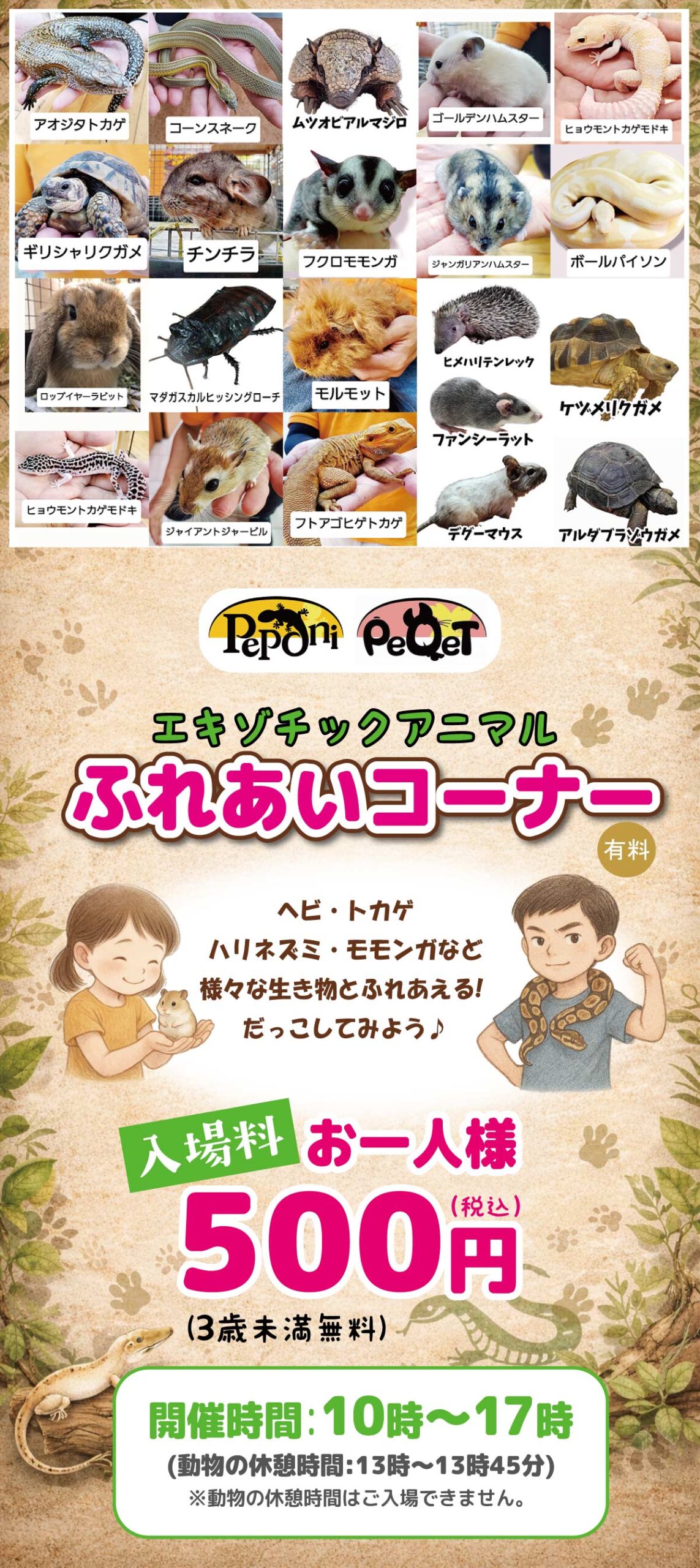 peponiとpeqetのふれあいコーナー、ナゴレプ2026春