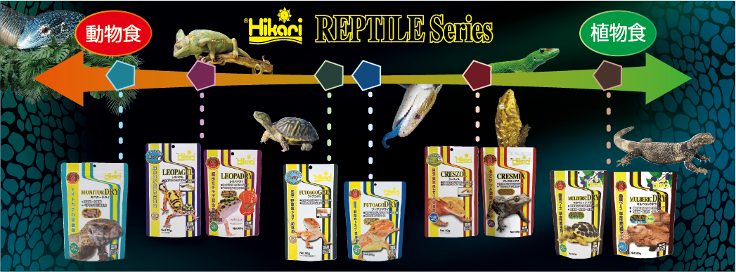 Hikari REPTILE Series 動物食から植物食まで各種フードをご用意